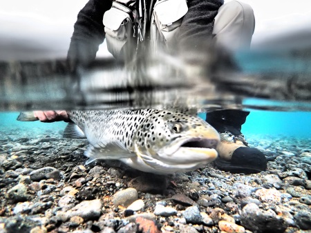 fishing trip iceland